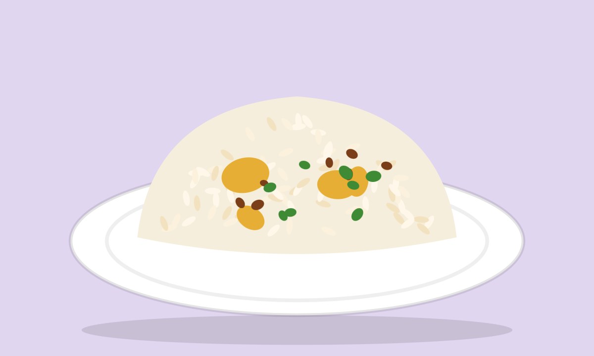 A drawing of Chanay ki Daal ki Qabooli Khichdi