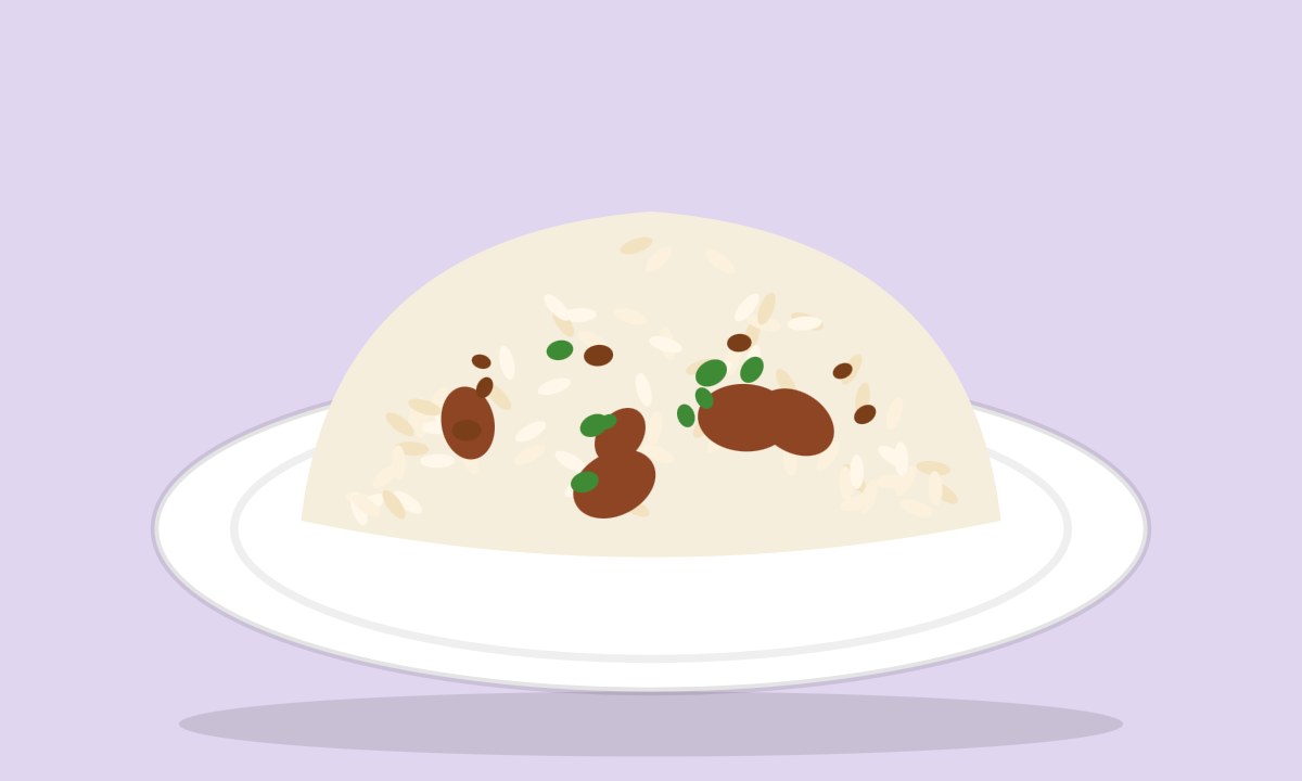 A drawing of Gosht or Chicken Pulao