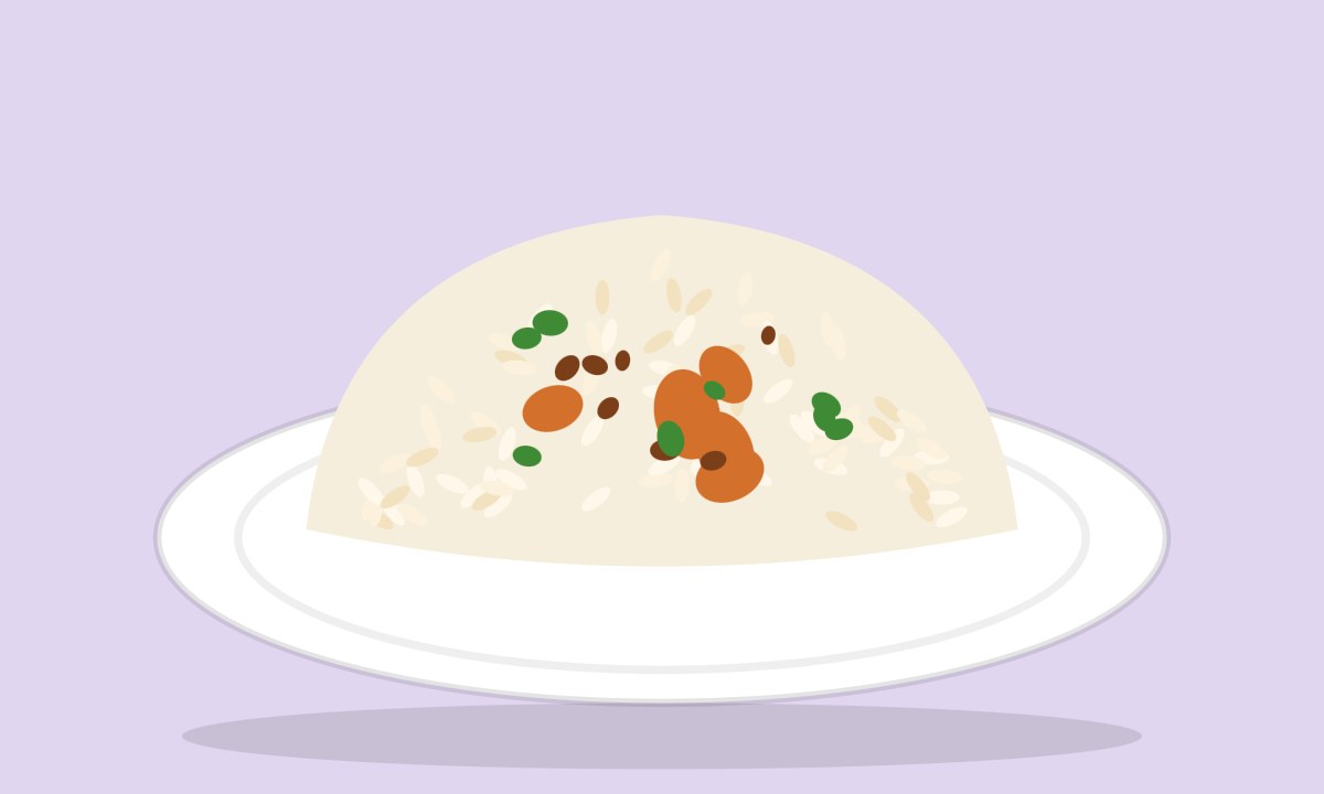 A drawing of Shashlik with Rice